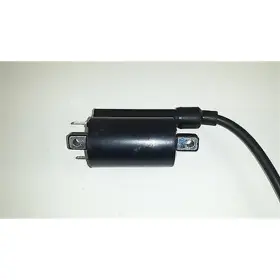 H053-012 2fastmoto Ignition Coil 12 Volt Single Output For Honda Kawasaki Suzuki