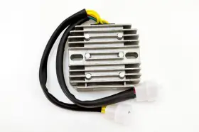 Aya6018 Arrowhead Wild Boar Voltage Regulator