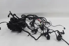 61117704196 Bmw 7704196 R1200gs 05-07 Oem Main Complete Wiring Harness Loom