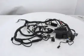 61117724583 Bmw Oem Main Wire Harness S1000rr 09-14