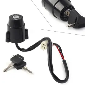 Dreamhighhus 510001130908 Ignition Switch Fit Yamaha Dt100 Dt125 Dt175 Dt250 Dt400 Xt250 Xt500 1974-83 P1