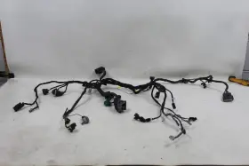 51015901a Ducati Monster 696 Main Wiring Harness Loom Wire Plugs Relays Nice