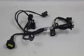 51017731d Ducati Panigale 1299s 1299 Throttle Bodies Body Wiring Injection Harness Loom