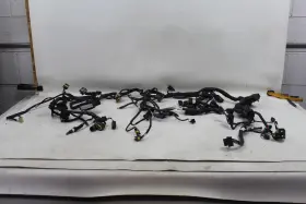 51018681b Ducati Multistrada 1200 13-14 Oem Main Wiring Harness Loom Wire Nice