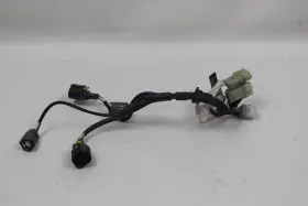 51019961b Ducati Multistrada 1200 Enduro 16-20 Throttle Bodies Body Wiring Harness Loom