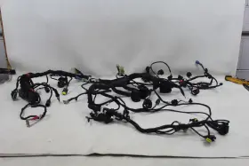 51019981c Ducati Multistrada 1200 Dvt 15-16 Oem Main Wiring Harness Loom Wire Plugs Nice