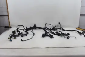 5101a011d Ducati Panigale 1299s 1299 Oem Main Wiring Harness Loom Wire Plugs Relays Nice