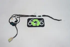 5107721a Ducati Panigale 899 Rear Tail Light Taillight Wiring Harness Loom 308239 Oem
