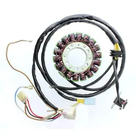 Electrosport Industries 799804156210 Stator Polaris Sportsman
