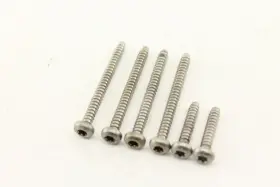 3639 Harley-davidson 2965 98-08 Electra Glide Oem Speaker Mounting Screws Set