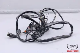70173-06 Harley-davidson 2006 Electra Glide Cvo Audio Sound Overlay Wire Wiring Harness