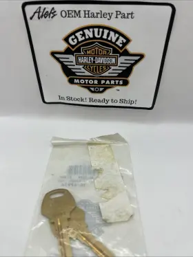 71443-91 Harley-davidson 71447 91 / Key Code 0091