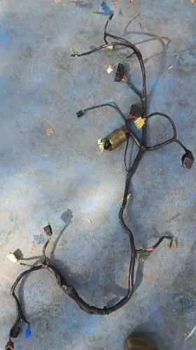 32100-mbz-a10 Honda Cb600f Main Wire Harness Cb600 Cb 600f Hornet 599 2004 04 Lm