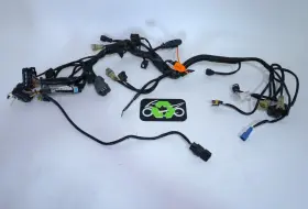61311075033 Ktm Electrical System Harness Super Duke 1290 R 2014 Wiring 254445 Oem
