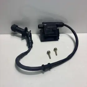 3051a-f6t-0001 Lance Ignition Coil Assy For 200i Scooters Oem Sym - 3051a-f6t-000 Cabo Etc