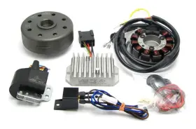 Mz250 Mz 705464677422 Powerdynamo Mz-b Vape Ignition System Stator Fits Ts250 Ts250/1 6v 100w Dc