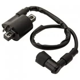 175-934-0010 Neutron Ignition Coil