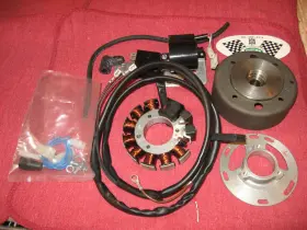 4035 Penton Sachs Racing Mz-b Ignition System Stator 1968-75 For 100 125 Ac