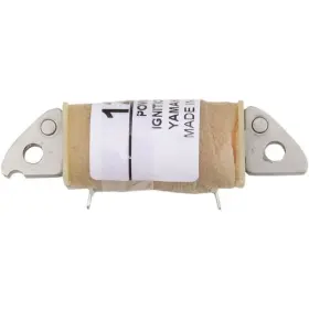 22-903 Ricks Motorsport Electric - Charging Coil