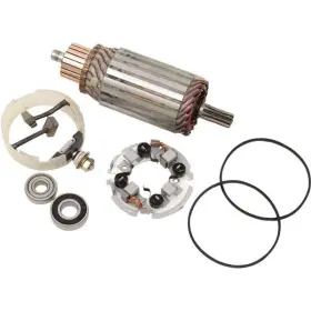 70-601 Ricks Motorsport Electric - Starter Motor Rebuild Kit