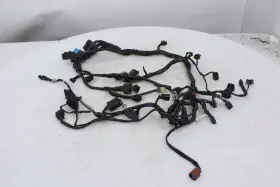 T2501666 Triumph Oem Wiring Harness Daytona 675 06-12