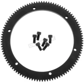 148165 Twin Power Starter Ring Gear -