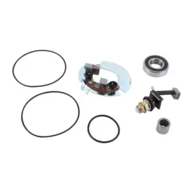 414-52015 Wild Boar Wildboar Parts Kit With Brush Holder