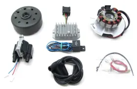 Yamaha 705464676708 Powerdynamo Vape Ignition System Stator Fits Yr1 Yr2 Grand Prix 1.1kg Dc