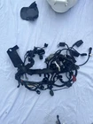 Triumph Daytona 675R 2013-16 Stock Wire Harness Used. Price: $150.00.