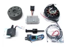 Powerdynamo (mz-b) Vape Ignition Stator System For Zundapp Elastic 200 250 Dc New. Price: $647.05.