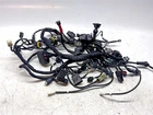 2010 Ducati 1198 Wiring Harness - 51016711B Used. Price: $173.08.