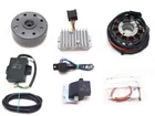 Powerdynamo Vape Ignition Stator For Benelli Montgomery Ward Riverside 250 Dc New. Price: $612.48.