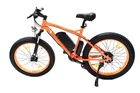 E-bike 48 Volt 500 Watt For Harley-davidson New. Price: $1742.99.