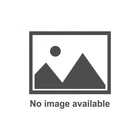 Msd Ignition Magnet Stud - Replacement Crank Trigger Wheel Each ASY10001 New. Price: $25.72.