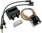 Thunder Heart Performance Twin Cam Stand-alone Ignition System EA5012 New. Price: $371.99.