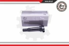 Esen 03SKV315 Ignition Coil For Hyundai Kia Neu. Price: $34.14.