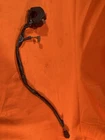 00 01 02 03 Kawasaki ZX9R Ninja Right Handlebar Switch Gear Oem Used. Price: $59.99.