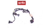 #119 Throttle Body Injector Wire Harness Aprilia Sxv Rxv 450 550 2006-2011 Used. Price: $49.99.