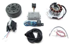 Powerdynamo Vape Ignition System Stator Fits Yamaha YR1 YR2 Grand Prix 1.1KG Dc New. Price: $613.58.