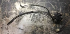 Good Oem 2002-03 Honda CBR954RR Fireblade Exhaust Airbox Flap Servo W/ Cables Used. Price: $49.99.