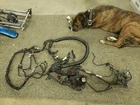Harley Davidson Dyna 2012-16 Wire Harness Oem 69200455 69200444 Non Abs Used. Price: $125.00.