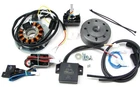 Powerdynamo Vape Ignition System Stator For Yamaha Air Cooled Tz 250 350 Dc New. Price: $814.40.
