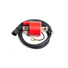 Ricks Ignition Coil Polaris 400L Xpress 300 Sportsman 4X4 New. Price: $61.33.