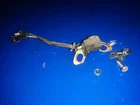 30400-882-601 10HP 100 Coil 8HP Honda 4STROKE Bacl Used. Price: $69.50.